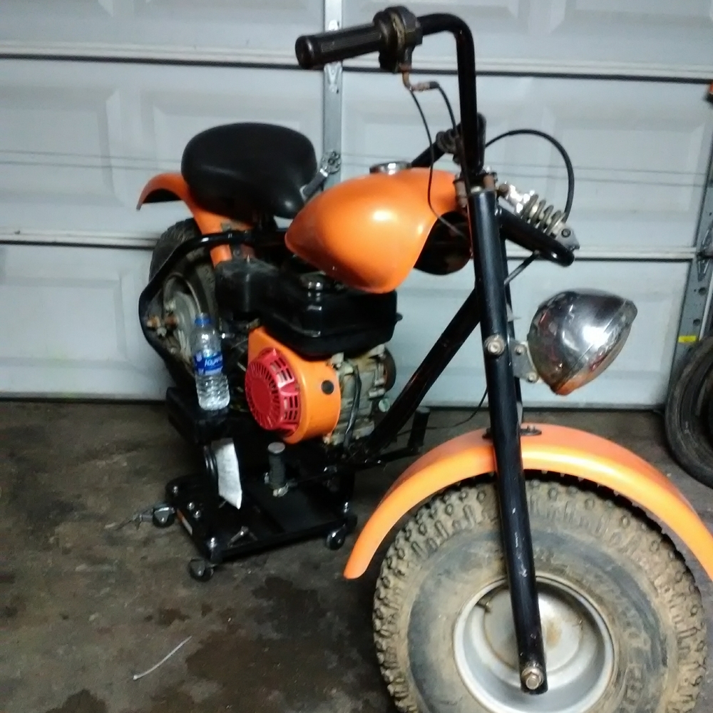 Trailmaster 2000 mini bike